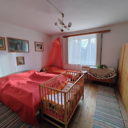 בית הארחה Strekov 	Vinyl House מראה חיצוני תמונה