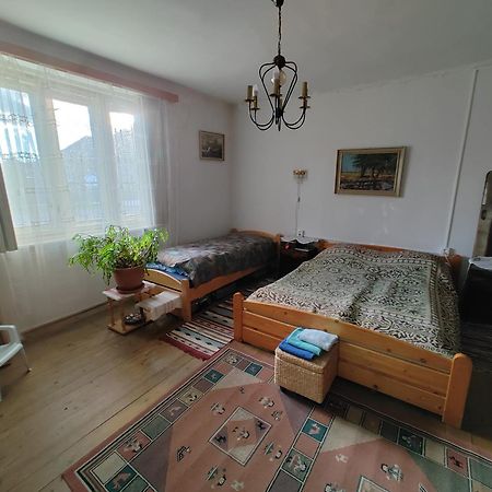 בית הארחה Strekov 	Vinyl House מראה חיצוני תמונה